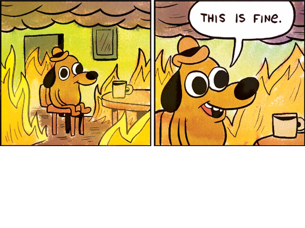 stresser.ovh (stresser.ovh)